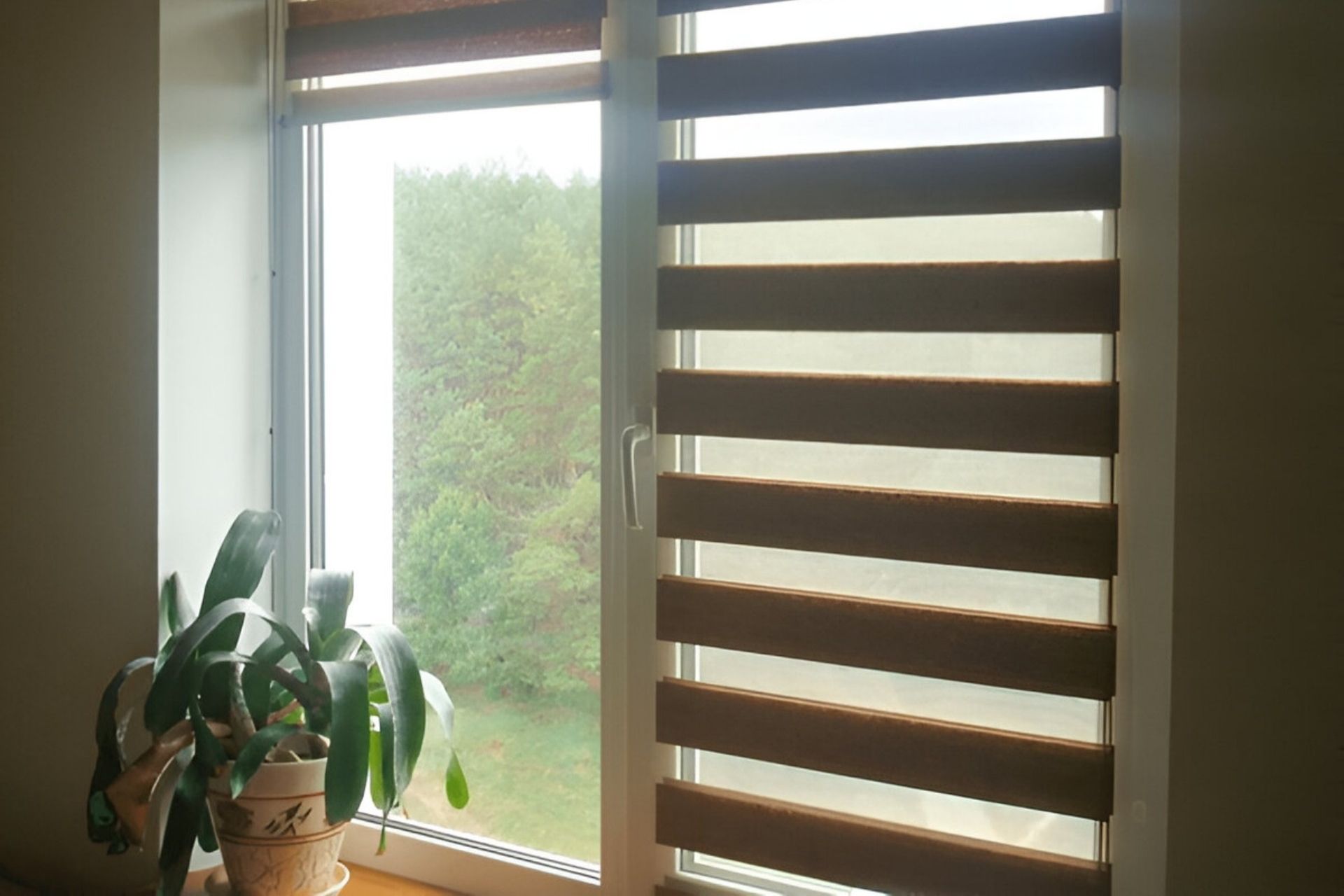 zebra Perde yikama 3